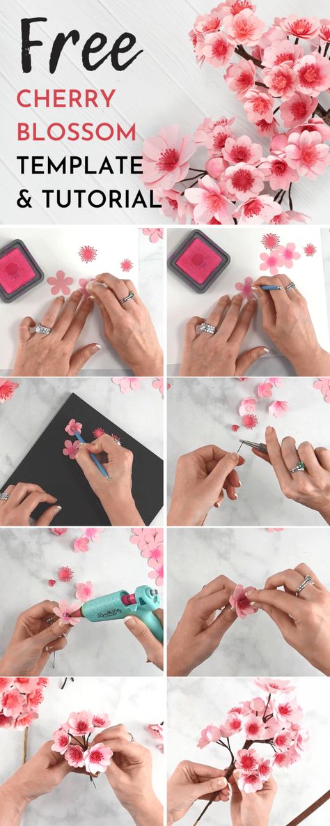 DIY paper cherry blossom tutorial. Download free printable cherry blossom templates and SVG cut files for Cricut. Patchwork, Card Stock Paper Crafts, Free Paper Flower Templates, 3d Paper Flowers, Tattoo Plant, Flower Templates, Paper Peonies, 3d Rose, How To Make Paper Flowers