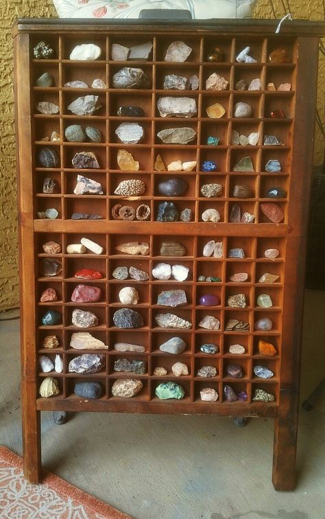 Printers tray for rock collection display! Fossil Display Case, Wooden Display Case, Display Case Ideas Retail, Jewelry Collection Display, Crystal Display Case, Printer Tray Ideas, Fossil Collection Display, Crystal Wall Display, How To Display Rock Collection