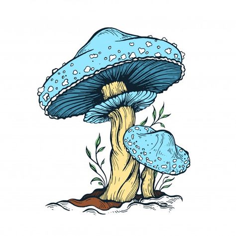 Mushroom Printable, Best Sketches, Botanical Mushroom, Pintura Hippie, Kawaii Vector, Mushroom Illustration, Blue Mushroom, Mushroom Paint, Blue Drawings