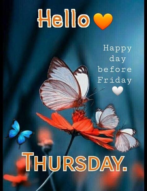 Happy Thursday Morning, Hello Thursday, Good Morning Thursday, Monday Blessings, G Morning, Good Morning Breakfast, Thursday Quotes, Beautiful Morning Quotes, Thursday Afternoon
