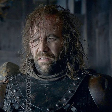 Sandor Clegane, Rory Mccann, The Hound, Game Of Thrones Houses, Daily Pictures, House Of Dragons, Character Reference, Long Day, Series Movies