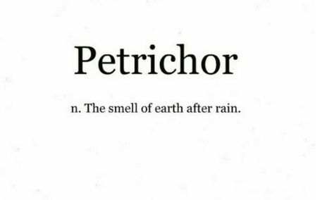 Smell Of Rain Word, Catharsis Tattoo, Petrichor Tattoo, Smell Of Earth After Rain, The Smell After Rain, Smell Of Books, The Smell Of Rain, Phobia Words, Rain Words