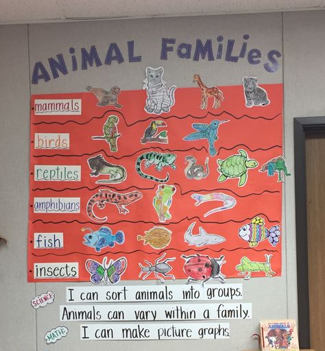 Animal Grouping Activities, Animal Classification Preschool, Classification Project Ideas, Montessori, Mammals Montessori Activities, Animal Family Preschool Activities, Mammals Anchor Chart, Animal Ecosystem Project, Animal Classification Chart