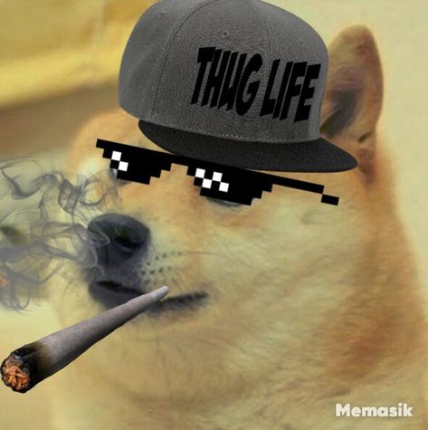 Thug life Character Design, Memes, Funny, Funny Memes, What's App Wallpaper, Thug Life Meme, Thug Life, Anime Character, Anime Character Design