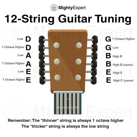 Guitar Hacks, Guitar Knowledge, All Guitar Chords, Guitar Setup, Learn Guitar Songs, 12 String Acoustic Guitar, Guitar Theory, Guitar Learning, Guitar Cord