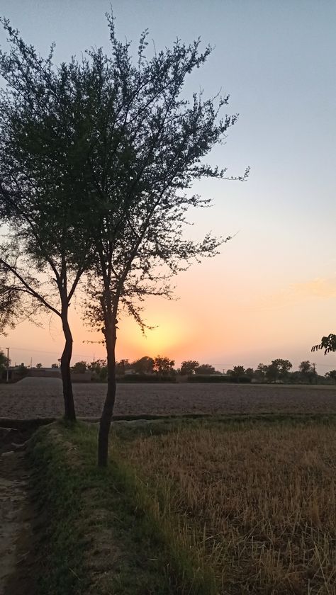 Beautiful Evening in Village Nature, Village Pics In Pakistan, Night Village Aesthetic, Village Morning Snap, Night Village Snap, Sky Pictures Real Life Snapchat, Village Snapchat Story, Evening Snapchat Stories, Village Night View