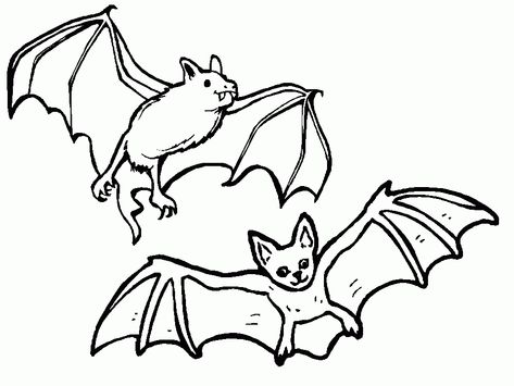 Bats Coloring Pages For Kids Kawaii, Bat Coloring Pages, Free Halloween Coloring Pages, Cartoon Bat, Bat Animal, Family Coloring Pages, Pumpkin Coloring Pages, Free Coloring Sheets, Halloween Vampire