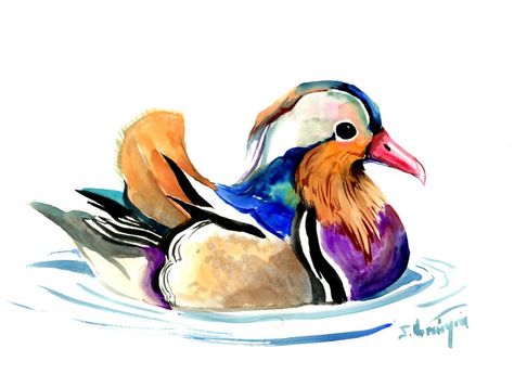 Buy Mandarin Duck, Watercolor by Suren Nersisyan on Artfinder. Discover thousands of other original paintings, prints, sculptures and photography from independent artists. Ducks Watercolor, Duck Watercolor, Pottery Idea, Duck Painting, Mandarin Ducks, Canvas Inspiration, Suren Nersisyan, Watercolor Paintings Of Animals, Paint Rocks