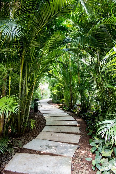 Lush Green Landscape, Big Garden Ideas Landscaping, Path Garden Ideas, Resort Landscape Design, Cactus Garden Landscaping, Tropical Backyard Landscaping, Backyard Resort, Modern Garden Landscaping, Tropical Landscape Design