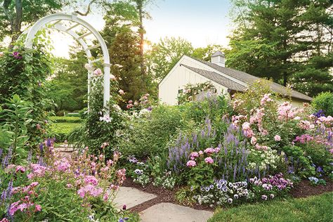 How to Create Colorful Flower Borders: Learn how Heather Thomas of Cape Cottage Garden keeps her flower borders colorful from spring through fall! Wildlife Garden Design, Cape Cottage, Hardscape Backyard, Cottage Garden Borders, Best Bathroom Plants, Small House Garden, Flower Borders, Container Garden Design, Flower Garden Design