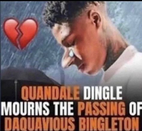 quandale dINGLE GOT DAMN Humour, Quandale Dingle, Really Good Comebacks, Good Comebacks, Funny Reaction Pictures, Inside Jokes, Instagram Funny, Really Funny Memes, Relatable Post