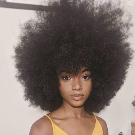 Short Pixie Bob Hairstyles, Afro Puff Hairstyles, Short Pixie Bob, Cabello Afro Natural, Pixie Bob Hairstyles, Big Afro, Afro Natural, Hair Puff, Big Hair Dont Care