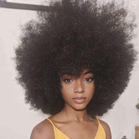 Cabello Afro Natural, Pixie Bob Hairstyles, Big Afro, Afro Natural, Big Hair Dont Care, Afro Style, Natural Afro Hairstyles, Texturizer On Natural Hair, Afro Puff