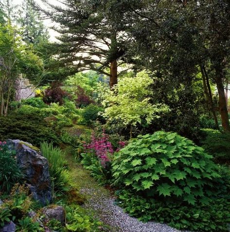 Visit the Elisabeth C. Miller Botanical Garden in Seattle to discover ideas for a woodland garden. Seattle Garden, Pnw Garden, Northwest Garden, Cottage Garden Plants, Sloped Garden, Garden Images, Forest Garden, Rock Garden Landscaping, Garden Photography