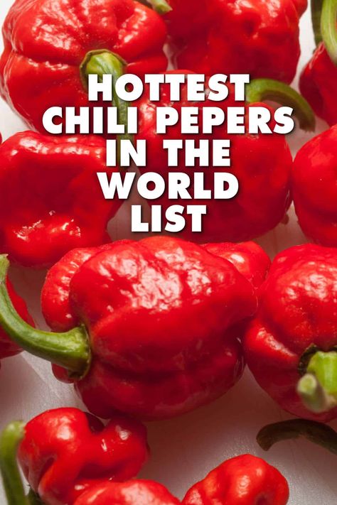 Here is the most current list of the hottest chili peppers in the world, listed from hottest to mildest. Updated January 2019. The list of the hottest chili peppers in the world is growing all the time. Growers are producing hotter and hotter hybrids with hopes of pushing the Scoville Heat Scale limits. 2017 saw a flurry of news articles with potential new 'hottest pepper in the world' claims, including the 'Dragon's Breath Pepper' and the ultra blazing 'Pepper X'. However, there have been no Hot Peppers Plants, Hot Pepper Recipes, Hot Pepper Seeds, Hot Sauce Recipes, Hot Peppers, Hottest Chili Pepper, Chilli Pepper, Peppers Recipes, Reduce Food Waste