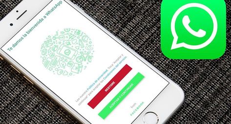 ¿Quieres actualizar el APK de WhatsApp Plus? Conoce cómo realizarlo en tu celular. Iphone, Smartphone, Whatsapp Plus