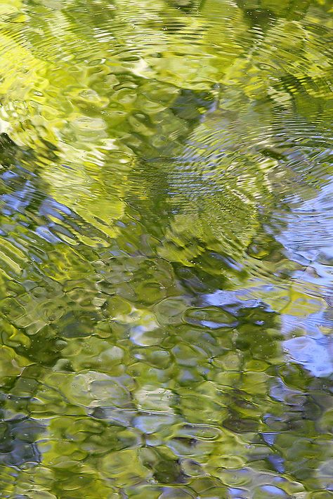 Nature, Reflections In Water Photography, Light Green Spring Aesthetic, Elevate Aesthetic, Nature Water Aesthetic, Glowing Nature, Water Reflection Painting, Sunlight Reflection, Light On Water