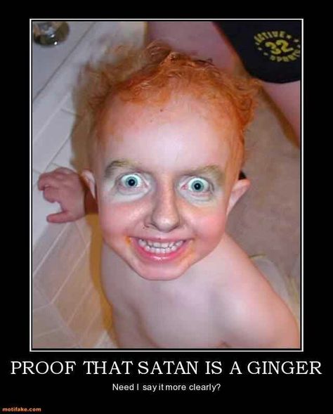 Damn Red Hair Meme, Ginger Meme, Red Hair Quotes, Ginger Jokes, Hair Jokes, Ginger Humor, Ginger Picture, Hair Quotes Funny, Ginger Kids