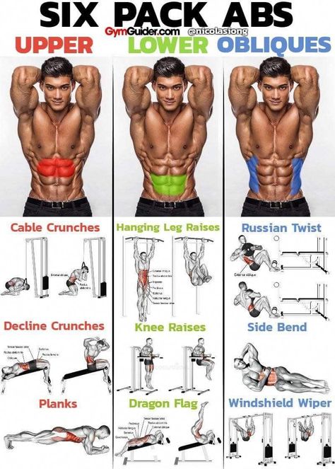 Gym Ab Workout Routine Male - Infoupdate.org Workout Man, Trening Sztuk Walki, Sixpack Workout, Muscle Abdominal, Six Pack Abs Workout, Workout Bauch, Yoga Wheel, Gym Workout Chart, Abs Workout Gym