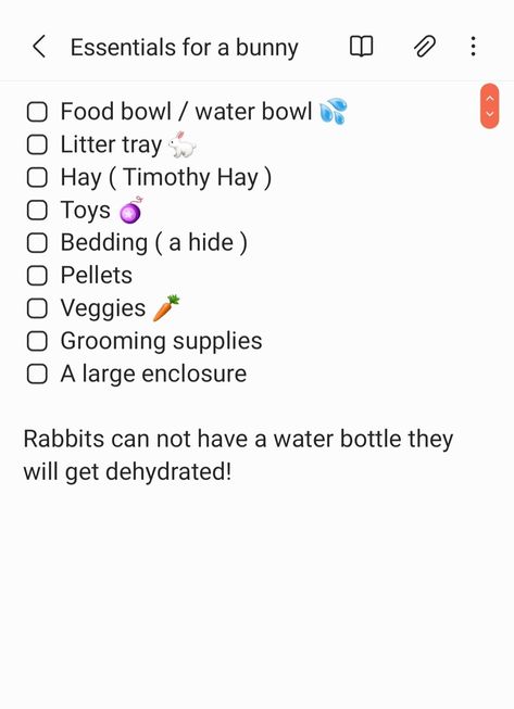 New Bunny Checklist, Bunny Supplies List, How To Take Care Of A Bunny, Names For Bunnies, Baby Bunnies Care, Bunny Checklist, Rabbit Essentials, Bunny Essentials, Bunny Hacks