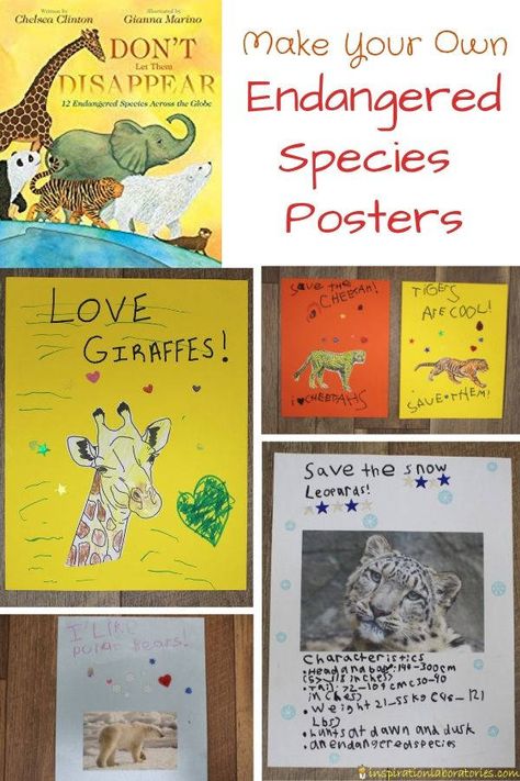 Endangered Species Poster Project | Inspiration Laboratories Endangered Animals Lessons, Endangered Species Poster, Endangered Species Activities, Endangered Animals Activities, Endangered Species Project, Endangered Animals Project, Species Poster, Asian Palm Civet, Endangered Species Art