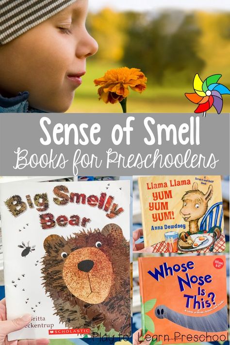 The Best Sense of Smell Books for Preschoolers Montessori, Smell Preschool Activities, Sense Of Smell Activities Preschool, Senses Preschool Theme, Preschool Books And Activities, Preschool Senses, Books For Learning, Five Senses Preschool, 5 Senses Activities