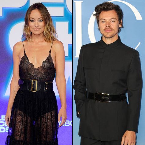 Olivia Wilde Is Still ‘Very Much Upset’ Over Harry Styles Split Olivia Wilde, Olivia Wilde And Harry Styles, Harry Styles Olivia Wilde, Harry Styles And Olivia Wilde, Olivia Wilde Style, Christian Dior Gowns, Dior Gown, Vogue Dress, Brit Awards