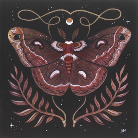 Cecropia Moth, Moth Drawing, Moth Illustration, Chalk Pastel, Moth Art, Moth Tattoo, Chalk Pastels, Botanical Illustration, Cotton Paper