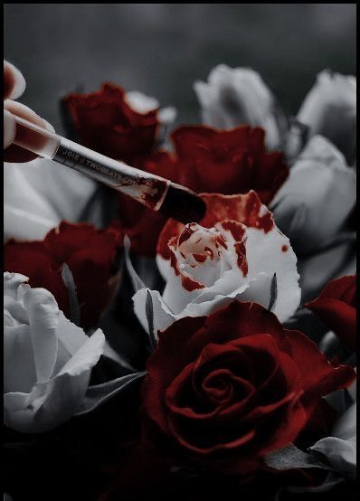 Dark Alice In Wonderland, Alice In Wonderland Aesthetic, Alice Madness, Blood Art, Images Esthétiques, Fantasy Aesthetic, Dark Photography, Red Aesthetic, Flower Aesthetic