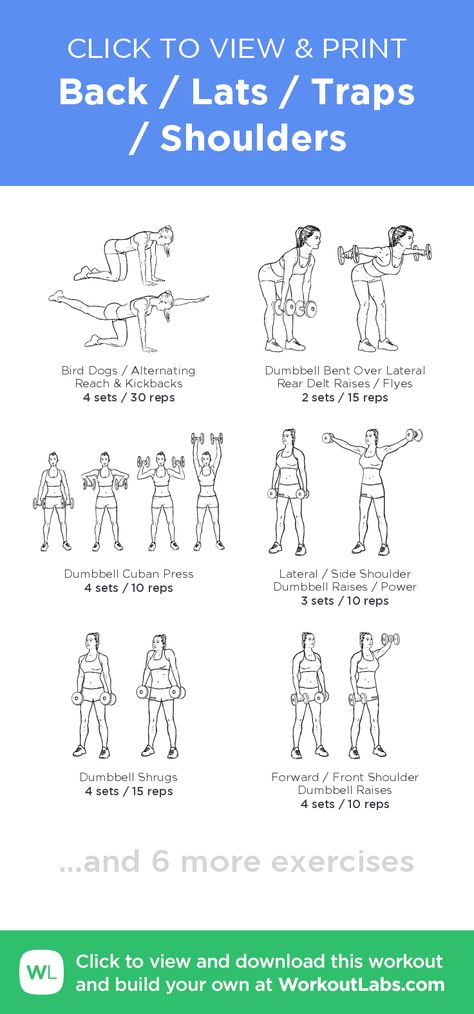 Back / Lats / Traps / Shoulders – click to view and print this illustrated exercise plan created with #WorkoutLabsFit Lats And Back Workout, Latissimus Dorsi Workout Women, Traps Exercises For Women, Shoulder And Lats Workout, Back And Traps Workout, Back And Lats Workout Women, Lat Muscles Women, Lats And Biceps Workout, Dumbell Lat Workout