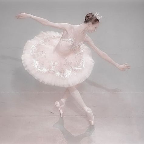 Pink Christmas, Angelina Ballerina, Ballet Beauty, Sugar Plum Fairy, White Swan, Ballet Girls, 판타지 아트, Swan Lake, Pink Princess
