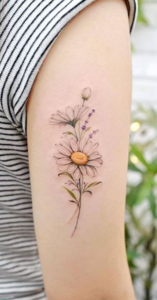 Daisy Triangle Tattoo, Tattoos With Daisies, Intertwined Daisy Tattoo, Daisy Tattoo Ideas For Women, Flower Through Concrete Tattoo, Rainbow Daisy Tattoo, 3 Daisies Tattoo, Black And White Tattoos With Color Pop, Hummingbird And Daisy Tattoo