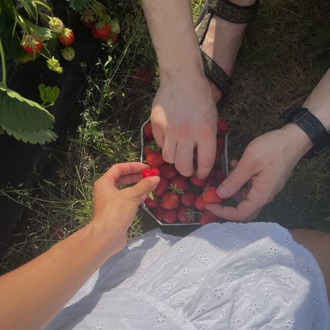 Tumblr, Countryside Living Aesthetic, Strawberry Picking Pictures Couple, Sufjan Stevens Aesthetic Outfit, Spring Relationship Aesthetic, Strawberry Picking Date Aesthetic, Couple Countryside Aesthetic, Cottagecore Romance Aesthetic, Couples Living Together Aesthetic