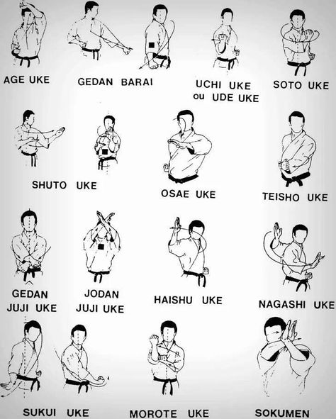 Blocks Goju Ryu Karate, Jiu Jutsu, Karate Moves, Karate Shotokan, Karate Kata, Karate Training, Kyokushin Karate, Trening Sztuk Walki, Shotokan Karate