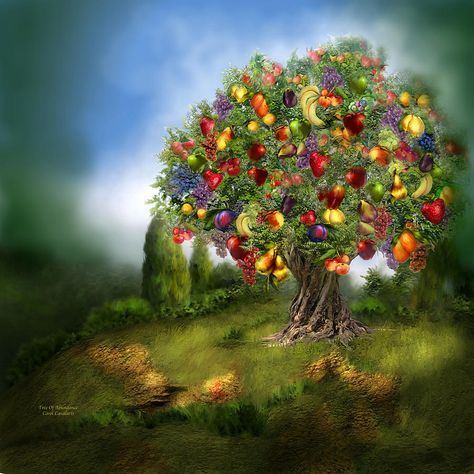 Why Many Advanced Souls Struggle with Abundance (Image - Tree of Abundance by Caro Cavalaris) Nature, Idea For Business, Abundance Images, Dream Catcher White, Image Nature, Fantasy Collection, Different Fruits, Business Idea, Profitable Business