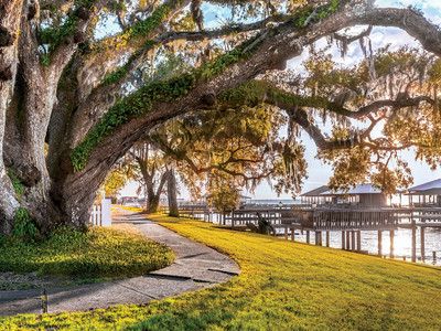 7 Reasons You’ll Fall in Love with Fairhope, Alabama | SouthernLiving Fairhope Alabama, Fairhope Al, Best Places To Retire, Retirement Ideas, Orange Beach Al, Southern Travel, Alabama Travel, Learn New Things, Bustling City