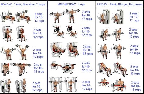 How to Build Muscle Quickly With a 3 Day a Week Routine - Bodydulding Workout Programme, Weekly Gym Workouts, Week Routine, Fitness Studio Training, Gym Program, Gym For Beginners, Workout Hiit, Sixpack Workout, Gym Plan