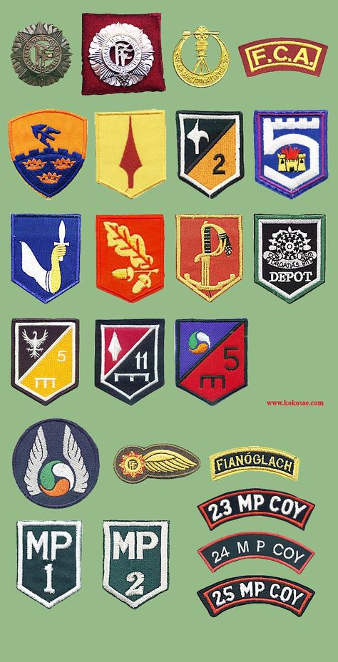 Irish Military Insignia Irish Army, Easter Rising, Military Logo, Military Ranks, Military Pride, Military Patches, Military Insignia, Army Rangers, Irish History