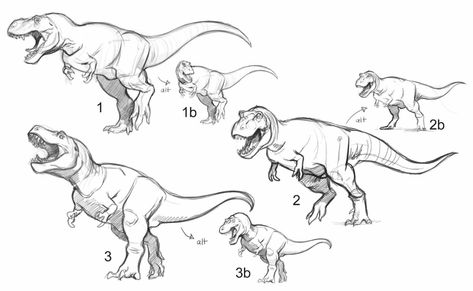 Croquis, T Rex Reference, T-rex Drawing, T-rex Art, Dino Drawing, Ar App, Dinosaur Sketch, Dinosaur Drawing, Dinosaur Illustration