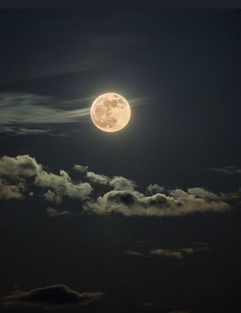 Night Sky Moon, 4 Tattoo, The Moon Is Beautiful, Look At The Moon, Sky Moon, Moon Pictures, Pretty Landscapes, Moon Photography, Images Esthétiques