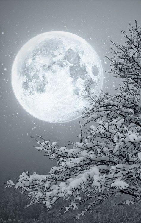 Hydrogen Aesthetic, Winters Tafereel, Era Victoria, Winter Szenen, Shoot The Moon, Winter Wonderland Christmas, Moon Pictures, Winter Beauty, Snow Scenes