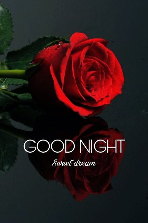 Good Night Rose Flower, Good Night Rose, Good Night Hd Images, Good Night Hd, Romantic Good Night Image, Romantic Good Morning Messages, New Good Night Images, Good Night Images Hd, Night Love Quotes