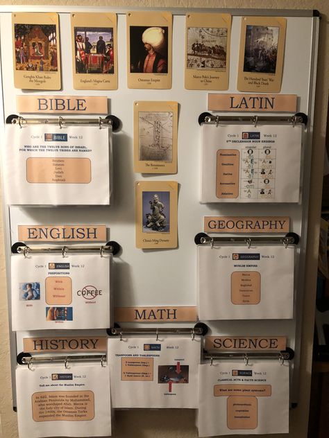 Organisation, Memory Statement Board, Homeschool Room Ideas High Schools, Small Space School Room, Unfinished Basement Homeschool Room, Classical Conversations Memory Board, Classical Education Aesthetic, Homeschool Activities Highschool, Traditional Homeschool Room