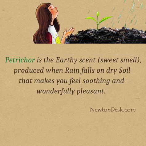 Soil Smell After Rain Is Petrichor Scent | Petrichor is the Earthy scent | Sweet smell | produced when Rain falls on dry soil that makes you feel | soothing and wonderfully pleasant #petrichor #scent #nature #rain #facts #factsoftheday Nature, Smell Of Soil After Rain, Words Related To Nature, Nature Lover Quotes, Rain Sunset, Save Soil, Spring Smells, Gardening Inside, Nature Facts