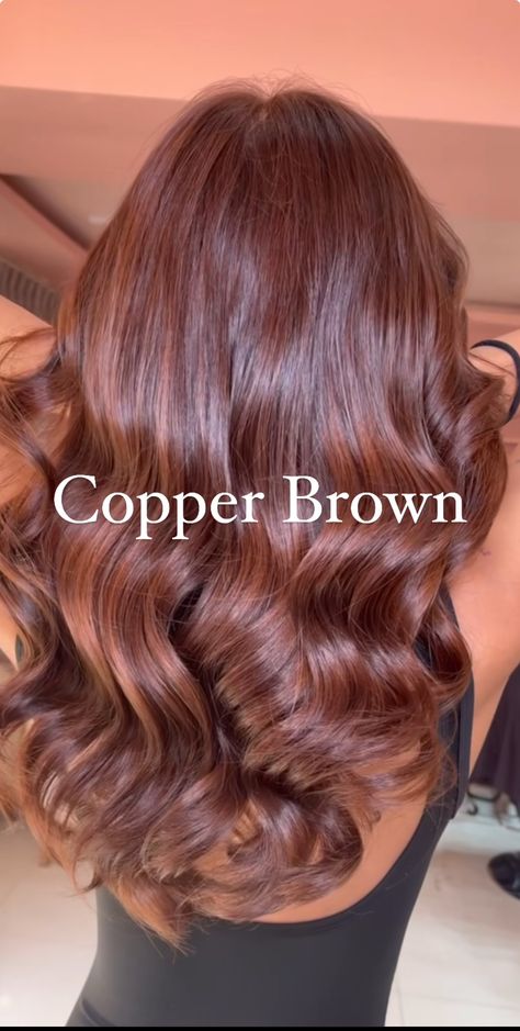 Black Hair With Tan Skin, Skin Color Hair Color Chart, Hair Colours For Cool Toned Skin, Wearing Hair Up, Red Toned Brunette Hair, Copper Hair Updo, Cooper Hair Color On Hispanic, Brown Hair With Ginger Undertones, Copper Hair Highlights On Brown Hair