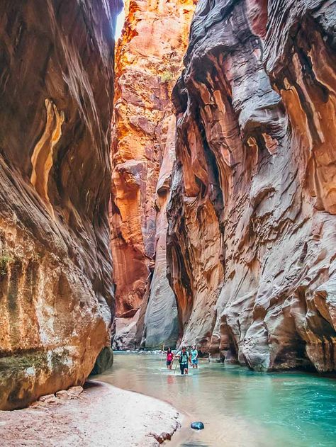 Utah Itinerary, Zion Hikes, Utah Activities, Utah National Parks Road Trip, Hiking The Narrows, Utah Camping, Utah Vacation, Visit Utah, The Narrows