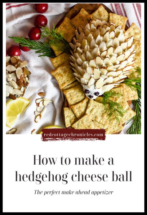 Hedgehog Dip Cheese Ball Recipe, Cheese Ball Hedgehog, Hedge Hog Cheese Ball Recipe, Hedgehog Cheese Ball Woodland Party, How To Make A Cheese Ball, Hedgehog Cheeseball Recipe, Swiss Cheese Ball Recipe, Cheese Hedgehog, Hedgehog Cheese Ball