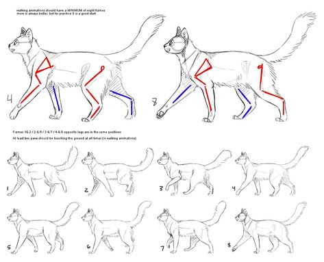Cat Walk Cycle, Walk Cycle Reference, Animation Walk Cycle, Walking Animation, Walk Cycle, Cat Drawing Tutorial, How To Cat, Cat Anatomy, Warrior Cat Drawings