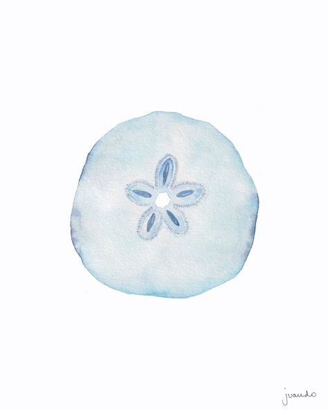 Cartoon Sea Shells, Oviedo, Beach Watercolor Illustration, Coastal Granddaughter Pictures For Wall, Blue Shells Aesthetic, Beach Aesthetic Prints, Sea Shells Watercolor, Sand Dollar Watercolor, Coastal Widgets Aesthetic