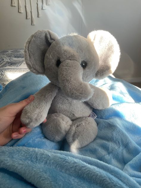 Grey Stuffed Animal, Cheap Stuffed Animals, Cutest Stuffed Animals, Stuffed Animals For Boyfriend, Jelly Cat Elephant, Stuffed Animal Astethic, Cute Jelly Cats, Jelly Cats Stuffed Animals, Stuffed Toys Aesthetic